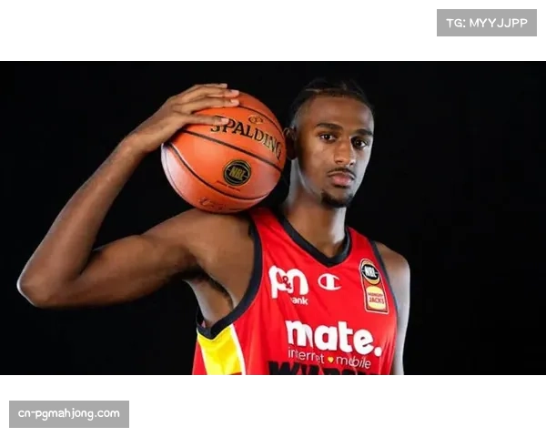 萨尔场均2.1盖帽领跑盖帽榜，护框降准率成内线防守新标杆